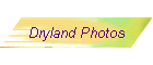 Dryland Photos