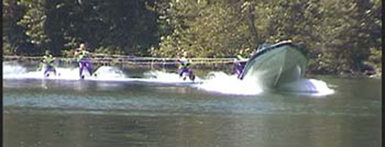 WoodlandSun1Foot2