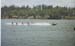 kitsap07