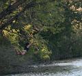 IMG_0620